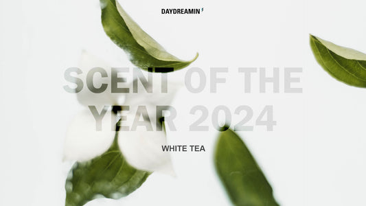 Candle Scent of the Year 2024 White Tea | DAYDREAMIN' UK